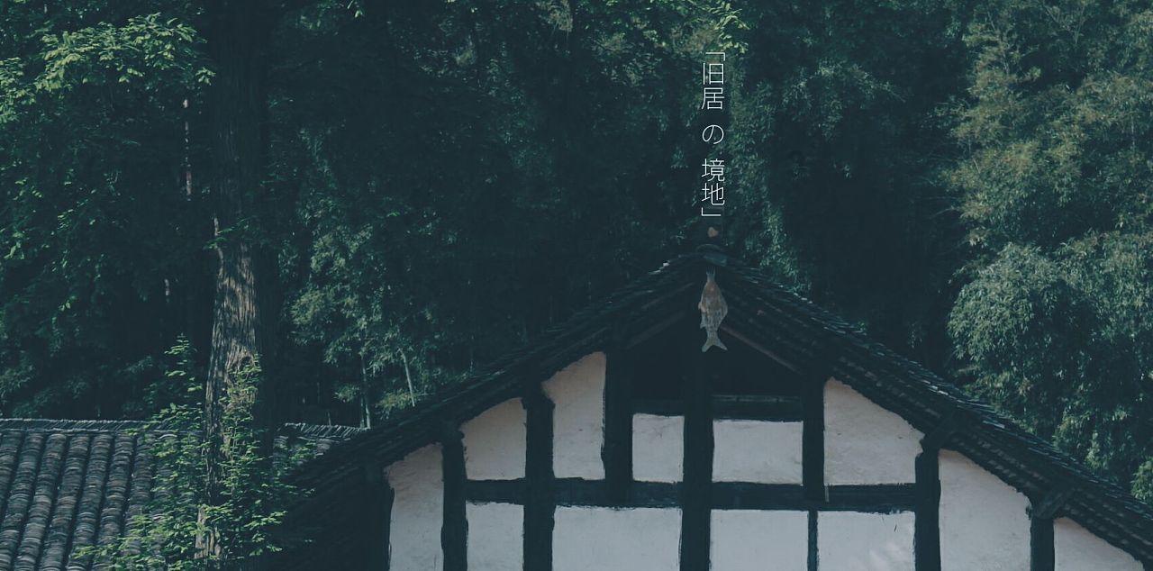 雷竞技比分